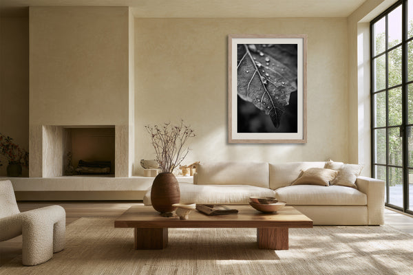Framed black-and-white raindrop-covered leaf photograph above a cream sofa and wooden coffee table.