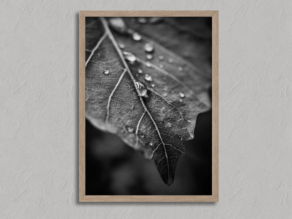 Vein and Rain shown in an oak frame without a border or mount.