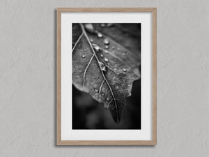 Vein and Rain shown in an oak frame with a white border or mount.