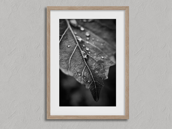 Vein and Rain shown in an oak frame with a white border or mount.