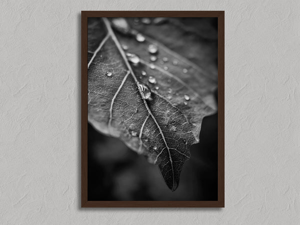 Vein and Rain shown in a walnut frame without a border or mount.