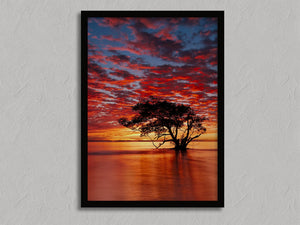 Solace at Sunrise shown in a black frame without a border or mount.