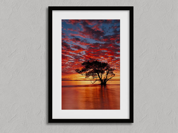 Solace at Sunrise shown in a black frame with a white border or mount.