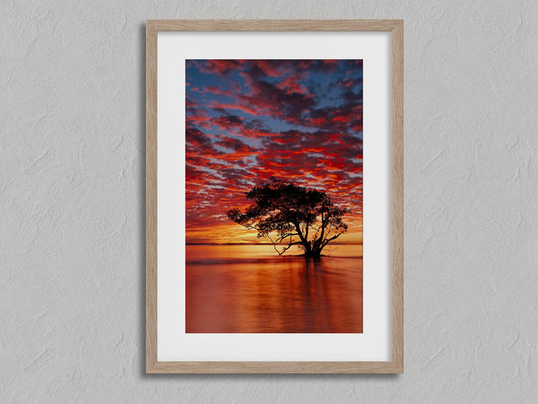 Solace at Sunrise shown in an oak frame with a white border or mount.