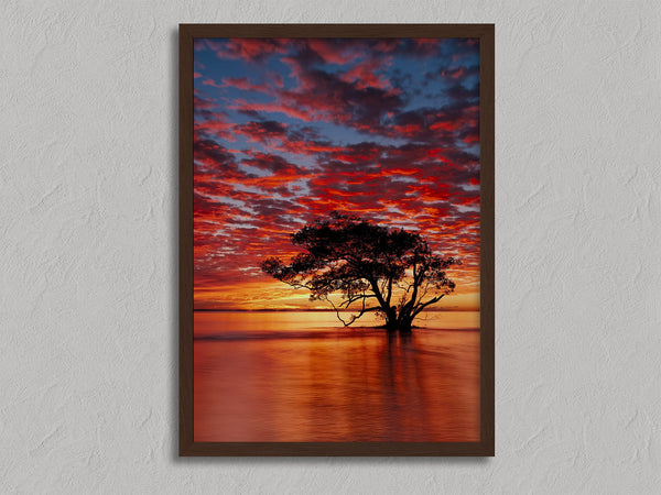 Solace at Sunrise shown in a walnut frame without a border or mount.