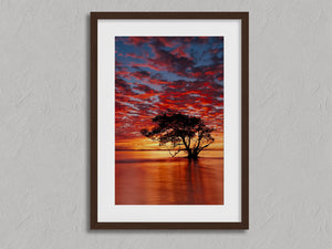 Solace at Sunrise shown in a walnut frame with a white border or mount.