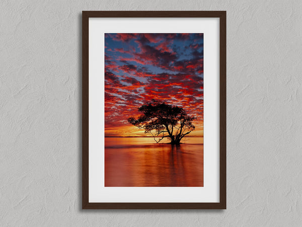 Solace at Sunrise shown in a walnut frame with a white border or mount.