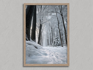 Snowy Path shown in an oak frame without a border or mount.