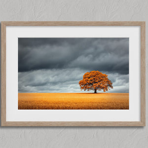 Close view of oak tree landscape print with white mat and light wood frame.