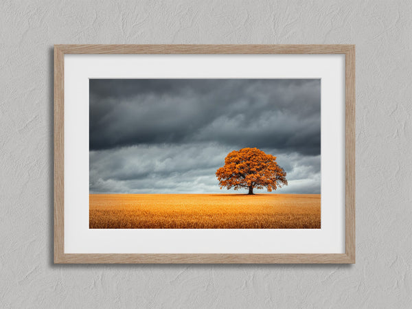 Close view of oak tree landscape print with white mat and light wood frame.