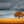Orange-leaved oak standing in a golden field beneath dark storm clouds.