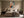 Framed geometric owl artwork centered above a bed with neutral bedding and dark bedside tables.