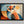 Sunlit Vigil shown in a black frame without a border or mount.
