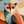 Close-up of a stylized geometric owl in teal, orange, cream, and brown shapes.