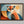 Sunlit Vigil shown in a walnut frame without a border or mount.