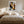 Framed winter tree artwork centered above a bed with matching bedside lamps.