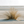 Coastal dune artwork showing a clump of golden beach grass casting shadows across pale sand.