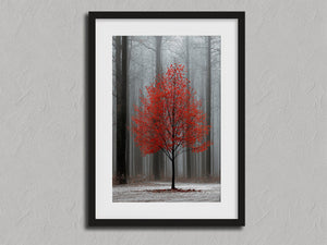 Scarlet Stillness shown in a black frame with a white border or mount.